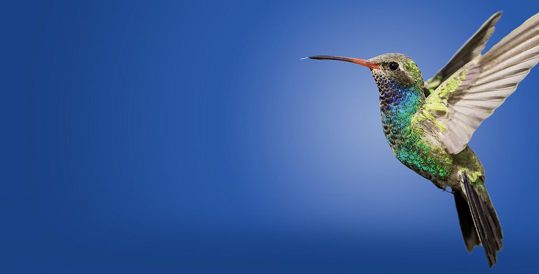 Quick coordination, perfect timing